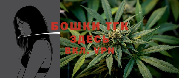 тгк Арсеньев