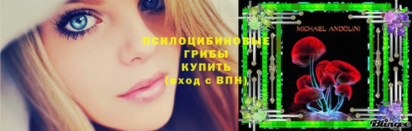 тгк Арсеньев