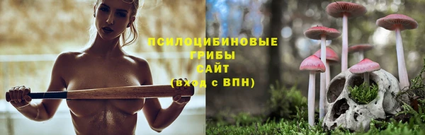 тгк Арсеньев