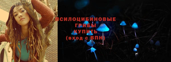 тгк Арсеньев