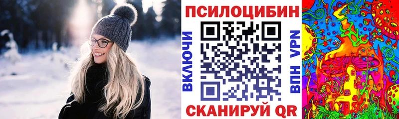 Галлюциногенные грибы Cubensis  что такое наркотик  площадка клад  Дыгулыбгей 